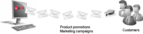 Newsletter Management